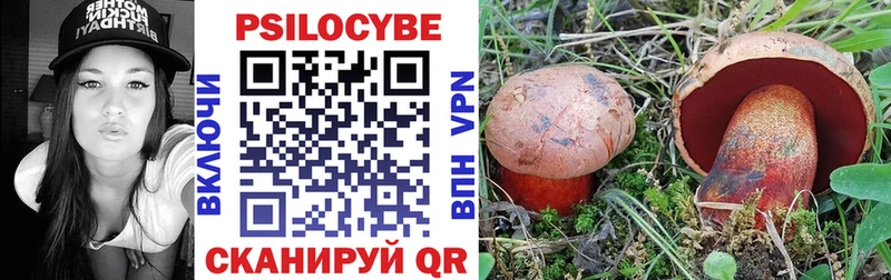 хочу наркоту Орлов Галлюциногенные грибы Cubensis